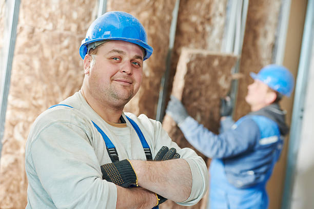 Best Residential Insulation in Fraser, MI
