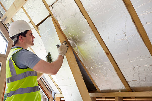 Best Commercial Insulation in Fraser, MI