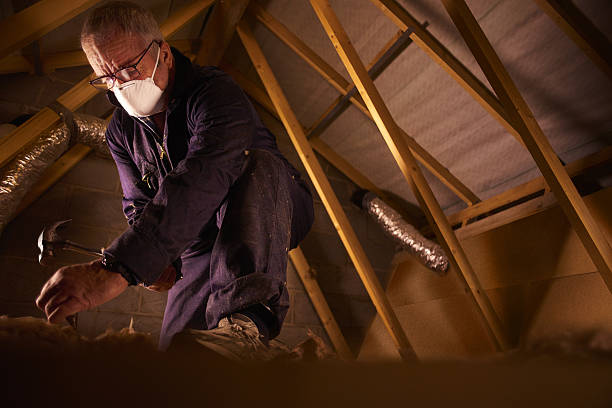 Reliable Fraser, MI Insulation Contractor Solutions