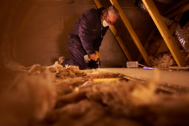 Best Cellulose Insulation in Fraser, MI